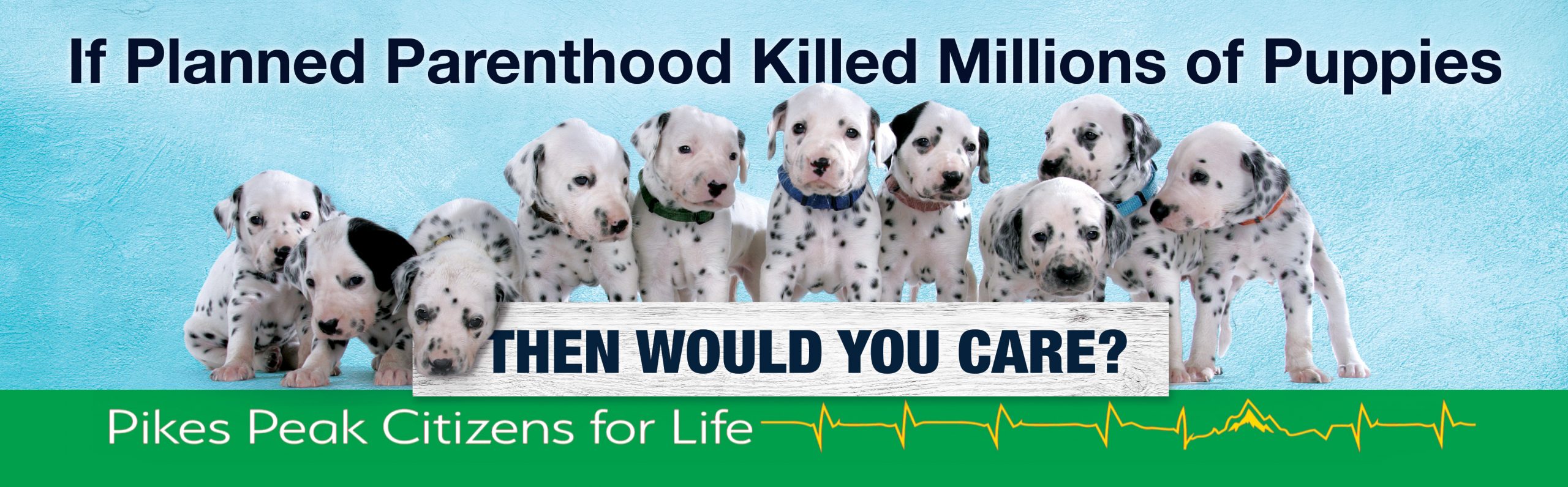 PuppyBB-scaled - Pikes Peak Citizens for Life