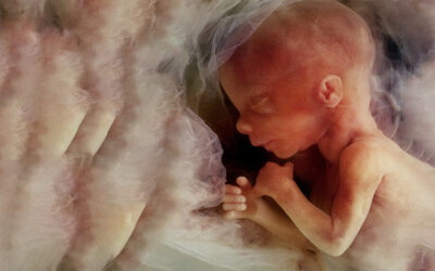 Day of Prayer for the Legal Protection of Unborn Children
