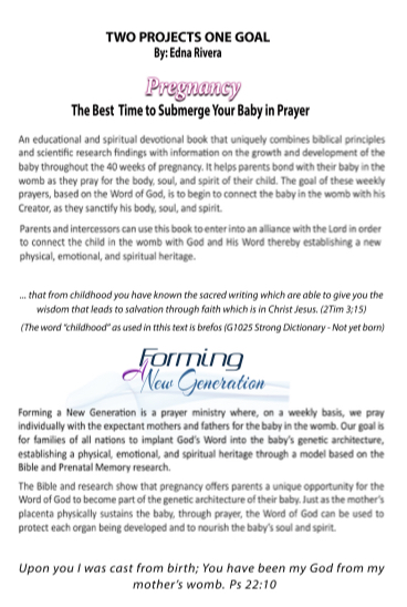Pregnancy: The Best Time to Submerge Your Baby in Prayer, book description by Edna Rivera